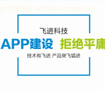 軟件開(kāi)發(fā)外包熱賣(mài)促銷(xiāo)