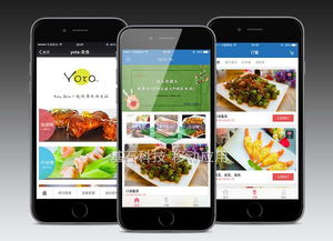 目前的app制作有幾種模式