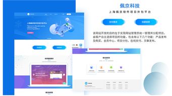 軟件項目外包網(wǎng)界面